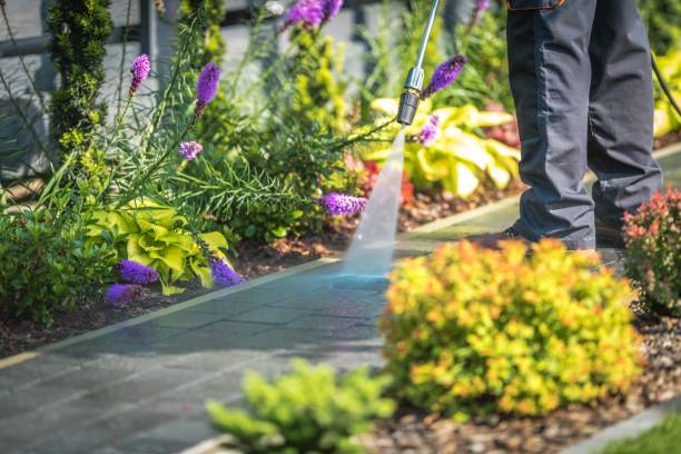Best Spring Cleaning  in Fellsburg, PA